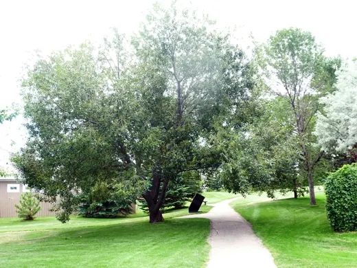 Coachwood Park