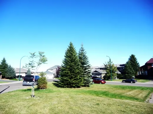 Coachwood Point Park
