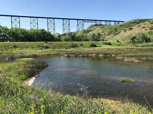 Elizabeth Hall Wetlands