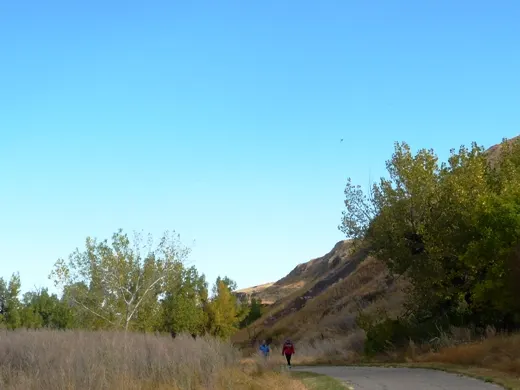 Lethbridge Nature Reserve