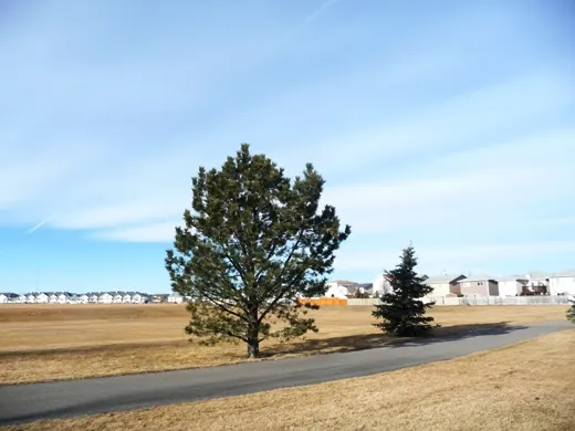 Ojibwa Park