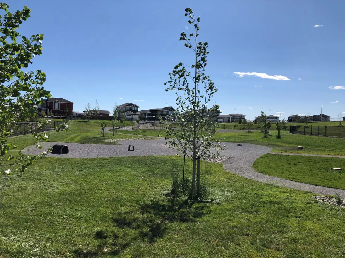 RiverStone Dog Park