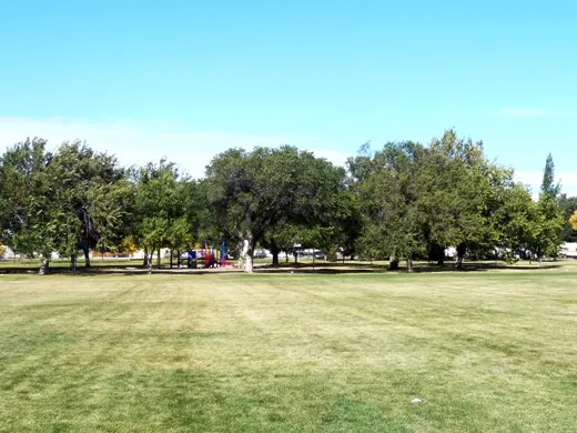 Staffordville Playground