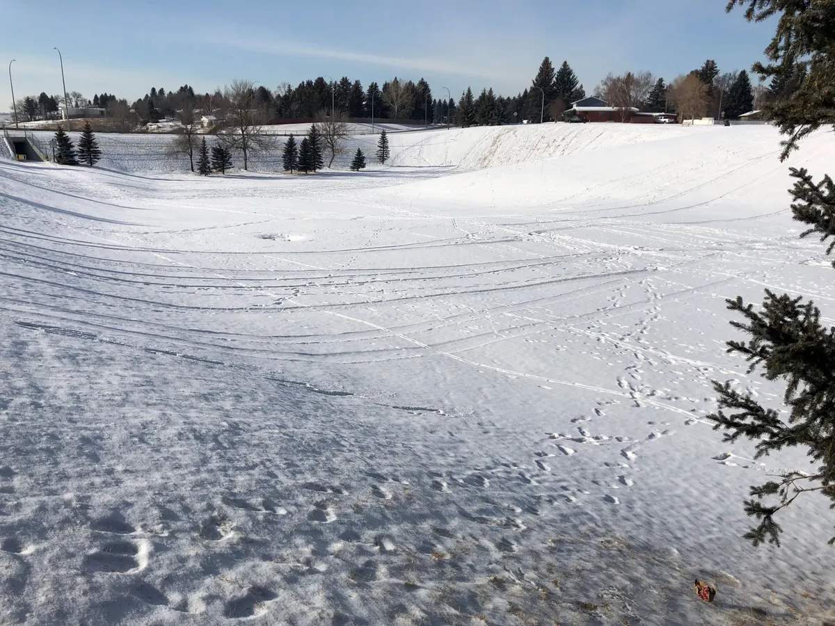 Sugar Bowl (Ravine Park)