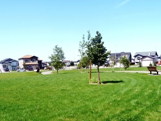Tartan Park