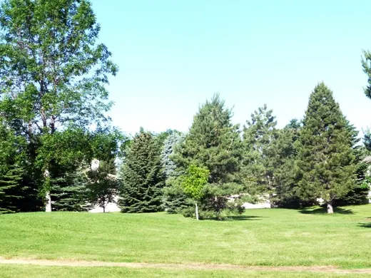 Tudor Park
